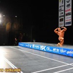 2013 Bodybuilding Images