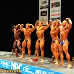 2013 Bodybuilding Images