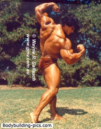 2013 Bodybuilding Images