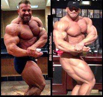 2013 Bodybuilding Images