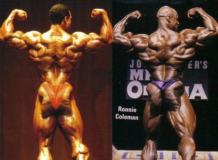 2013 Bodybuilding Images