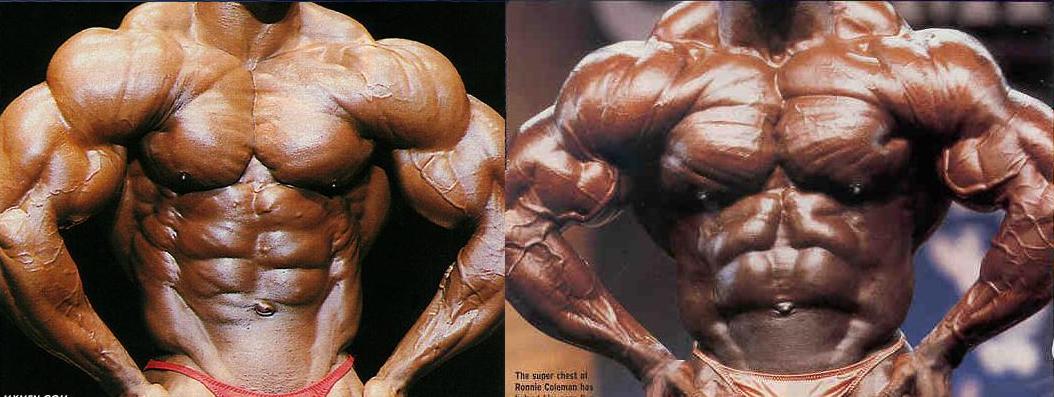 2013 Bodybuilding Images