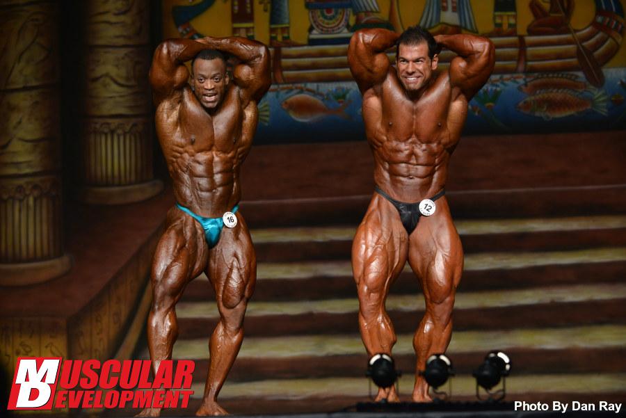 2013 Bodybuilding Images