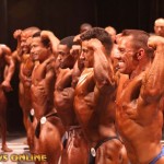 2013 Bodybuilding Images