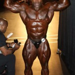 2013 Bodybuilding Images