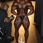 2013 Bodybuilding Images