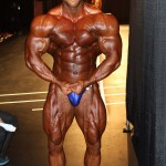 2013 Bodybuilding Images