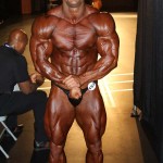 2013 Bodybuilding Images