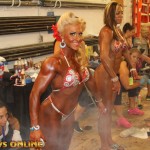 2013 Bodybuilding Images