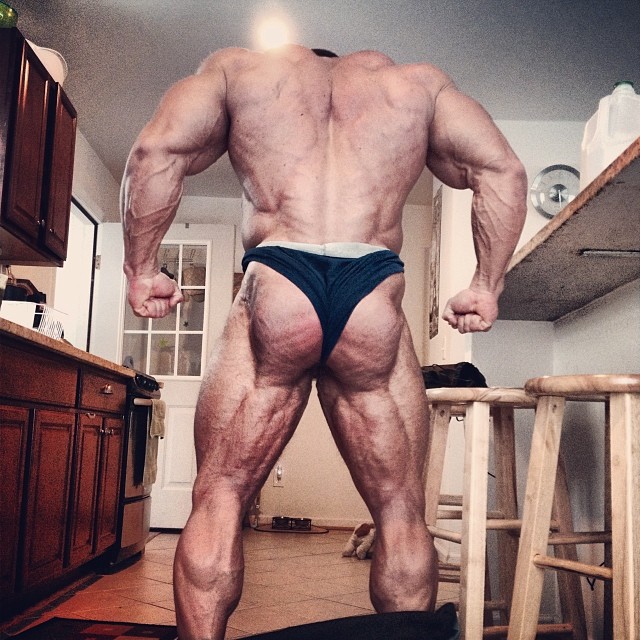 2014 bodybuilding images