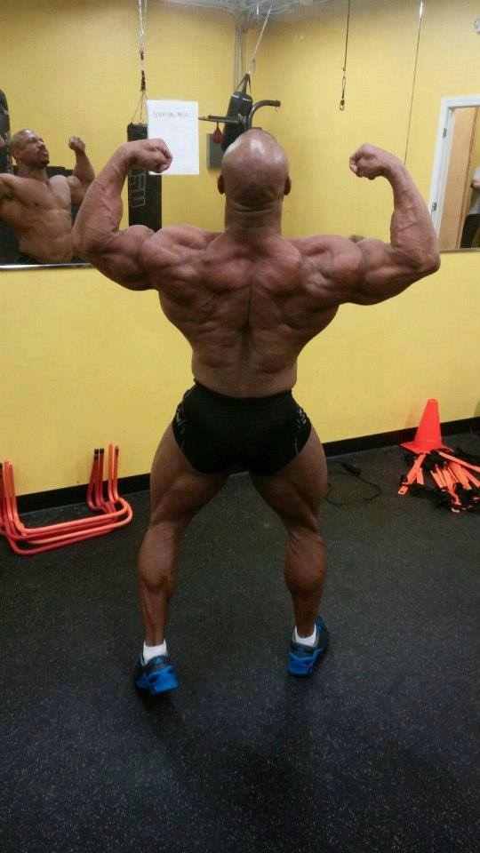 2014 bodybuilding images