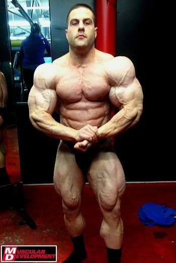 2014 bodybuilding images