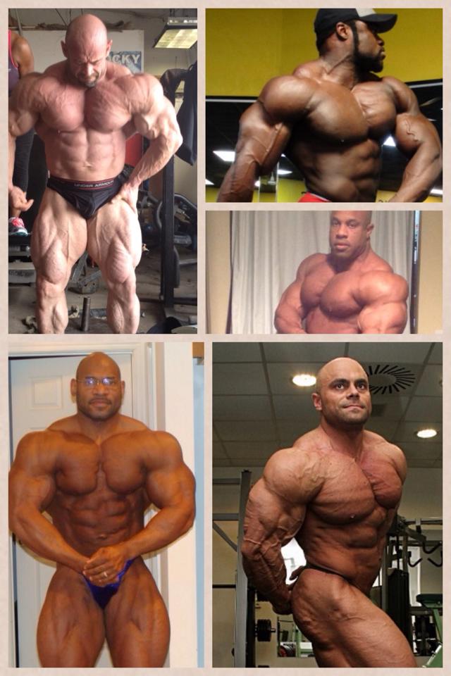 2014 bodybuilding images