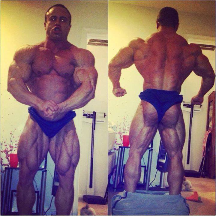 2014 bodybuilding images