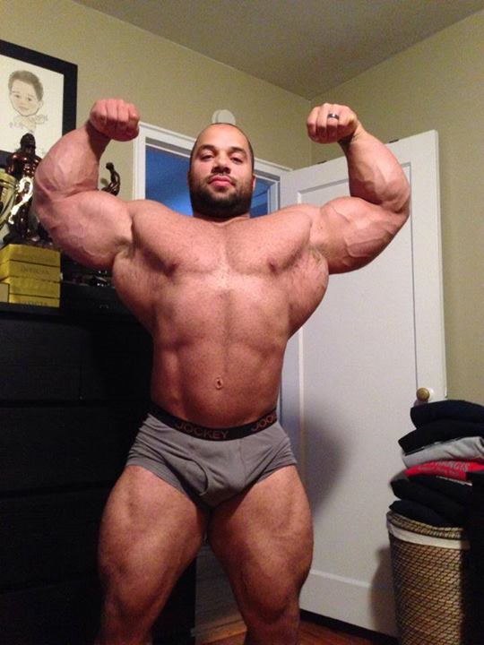 2014 bodybuilding images