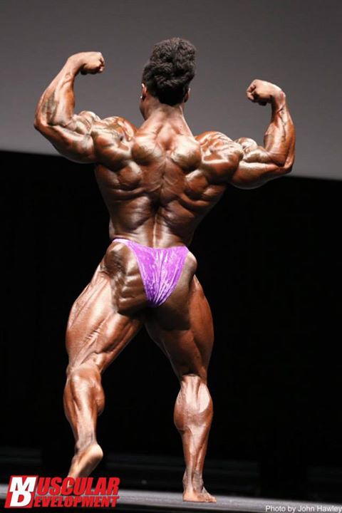 2014 bodybuilding images