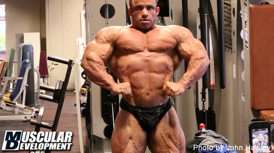 2014 bodybuilding images