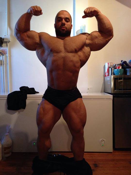 2014 bodybuilding images