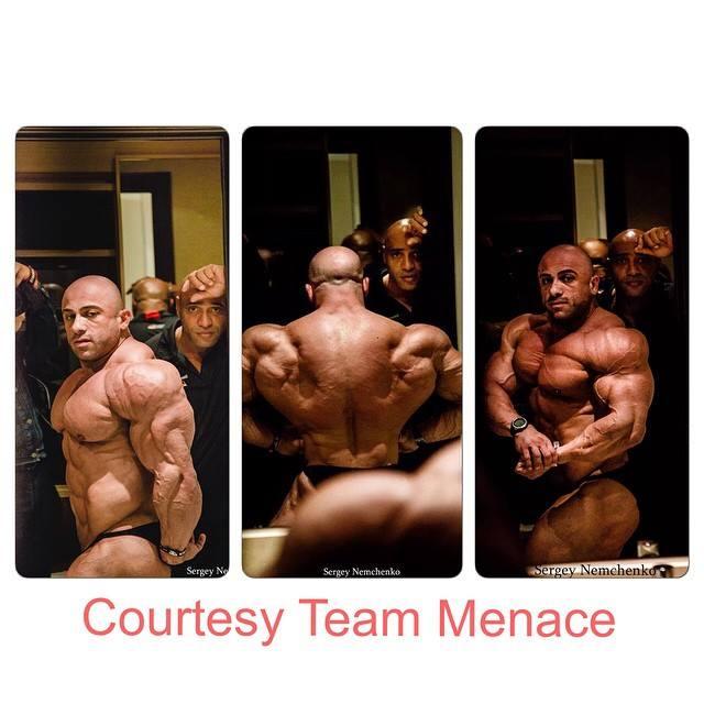 2014 Bodybuilding Images