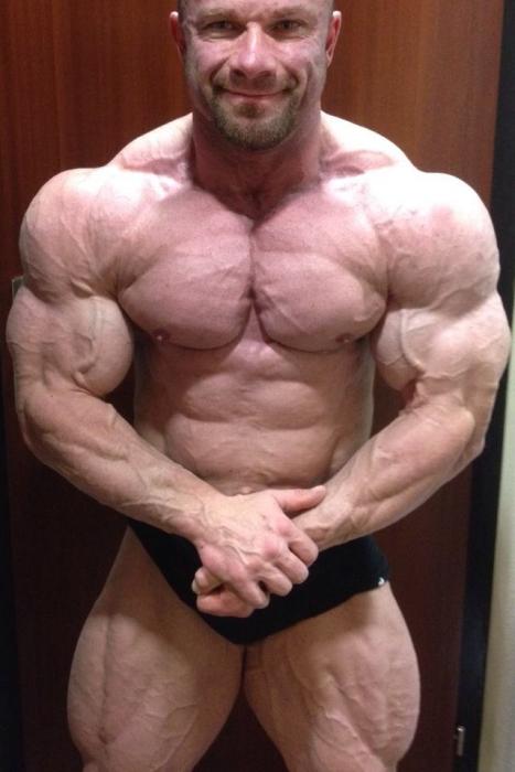 2014 Bodybuilding Images