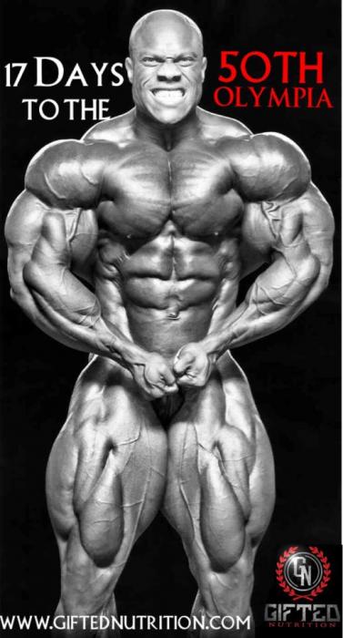 2014 Bodybuilding Pics