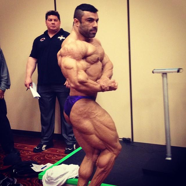 2014 Bodybuilding Pics