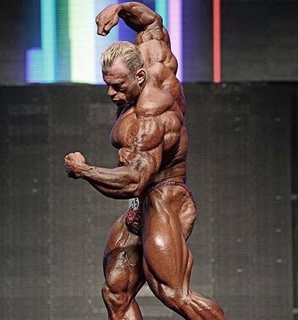 2014 Bodybuilding Pics