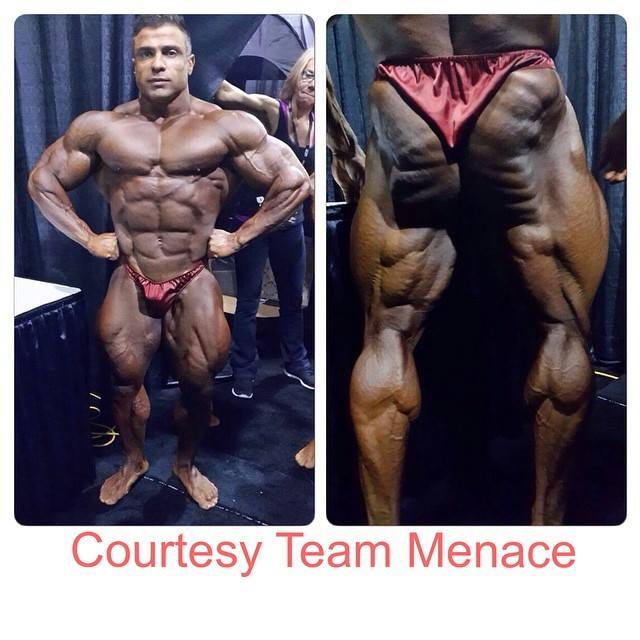 2014 Bodybuilding Pics