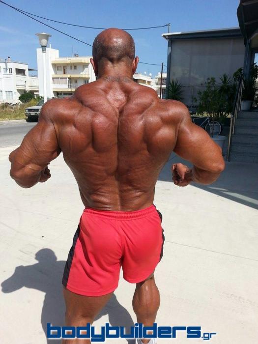 2014 Bodybuilding Pics