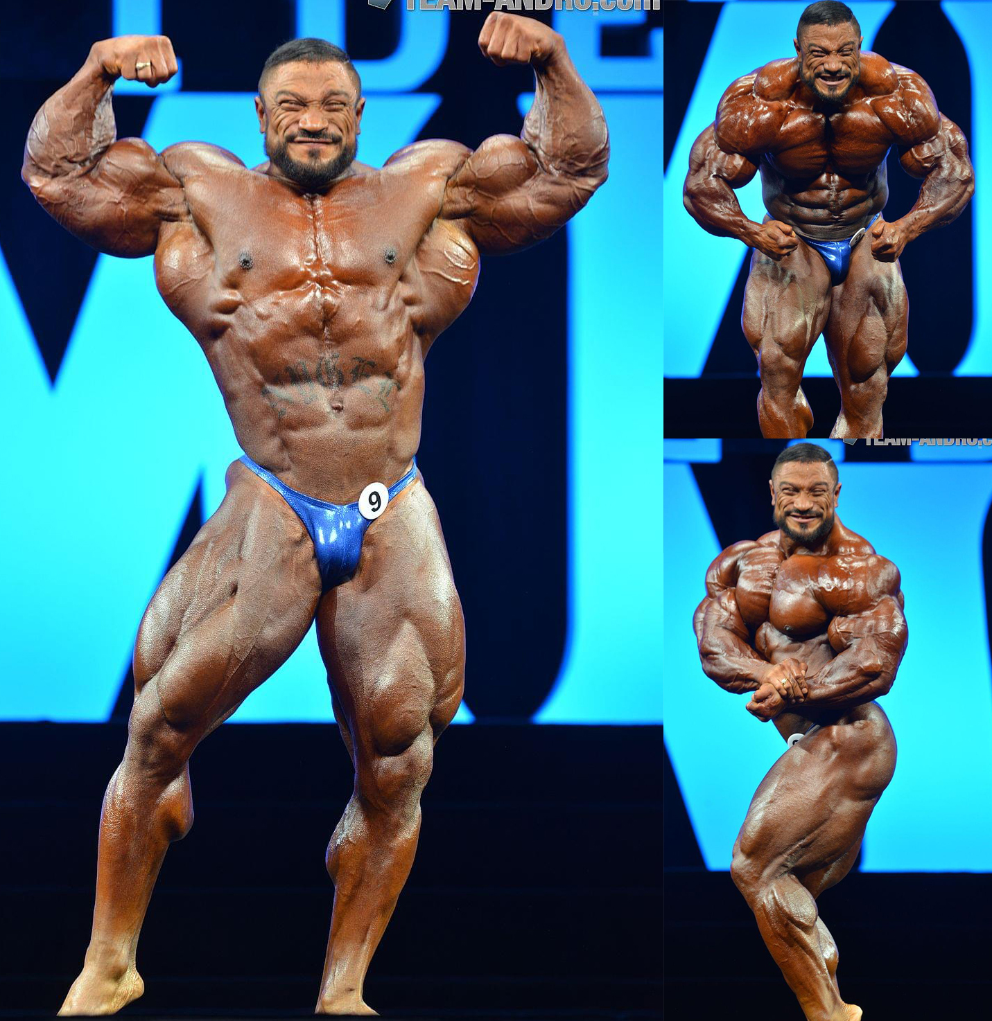 2016 Mr Olympia - Roelly Winklaar.jpg