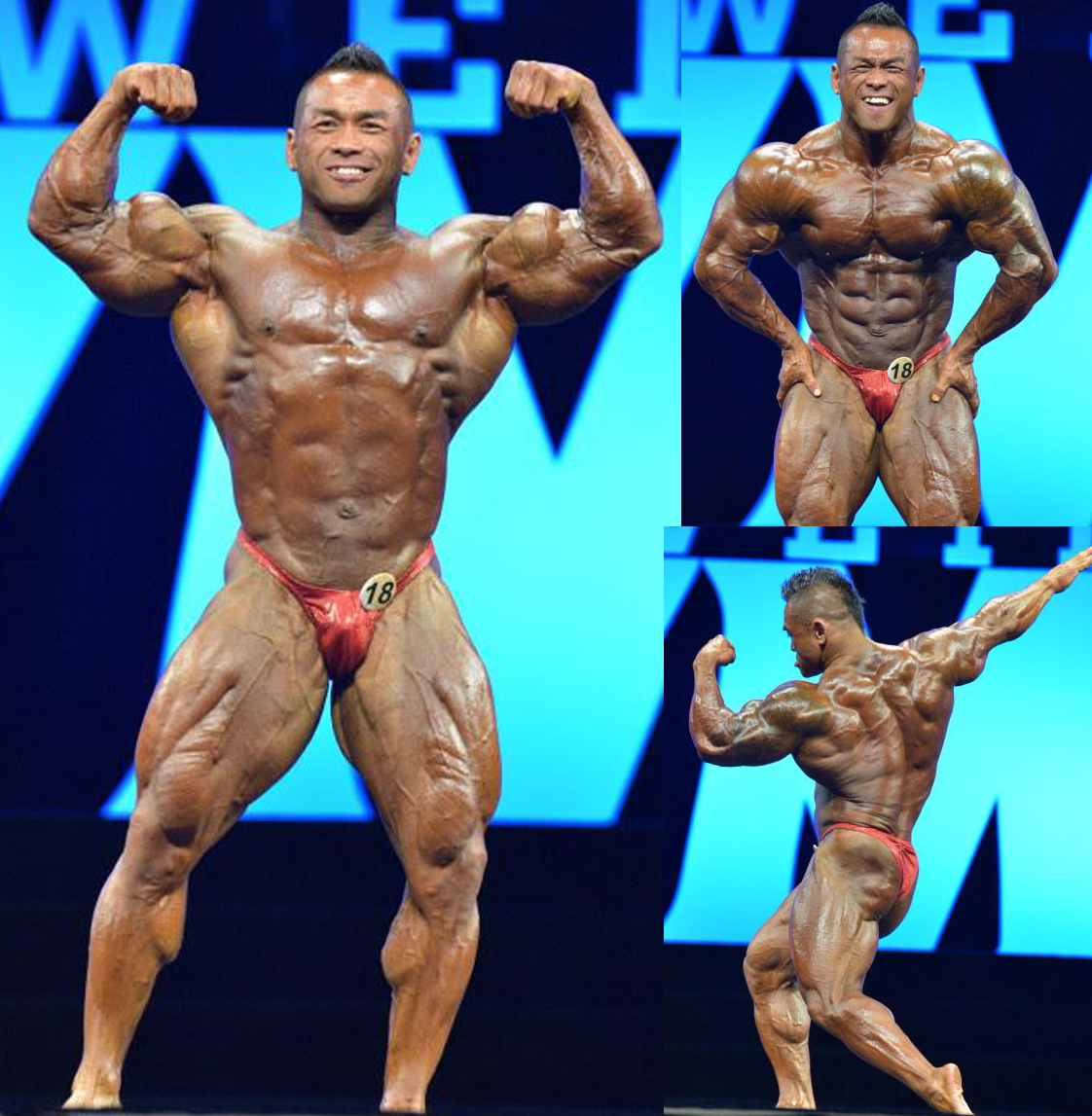 2016 Mr Olympia