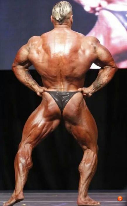 Bodybuilding images 2014