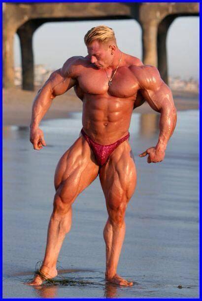 Bodybuilding images 2014