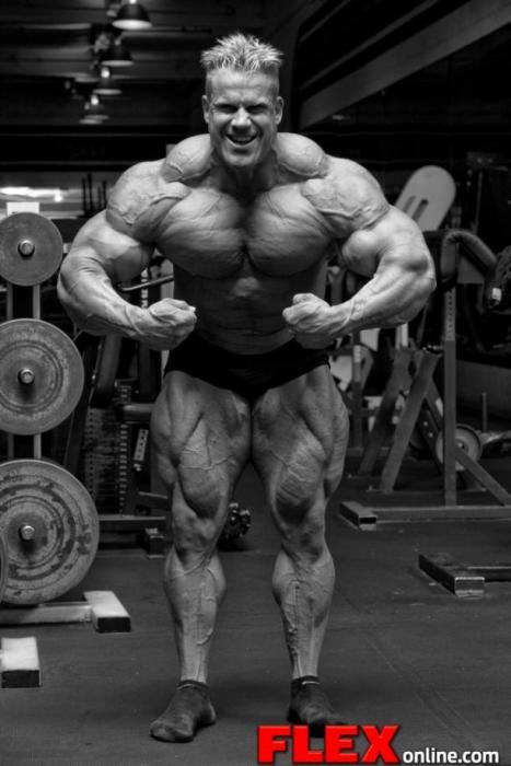 Bodybuilding images 2014