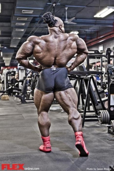 Bodybuilding images 2014