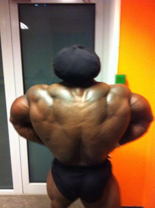 Bodybuilding images from 2014