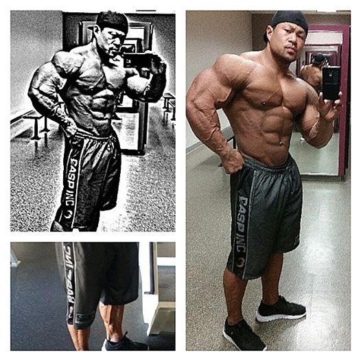 Bodybuilding images from 2014