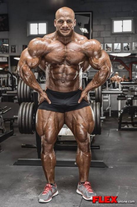 Bodybuilding images from 2014