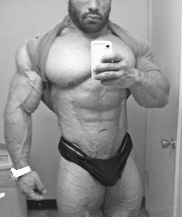 Bodybuilding images from 2014