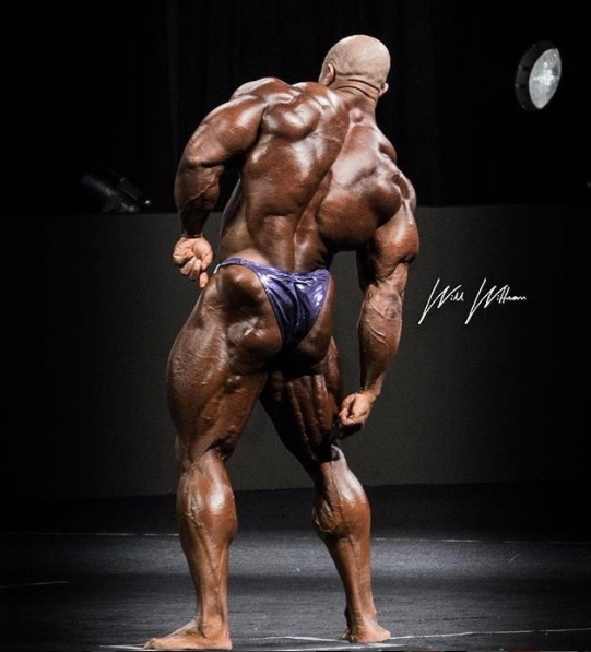 Phil Heath-2017 Olympia.jpeg